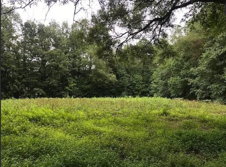 901 Mack Todd Rd, Zebulon, NC à vendre - Photo de la construction – Image 2 sur 2