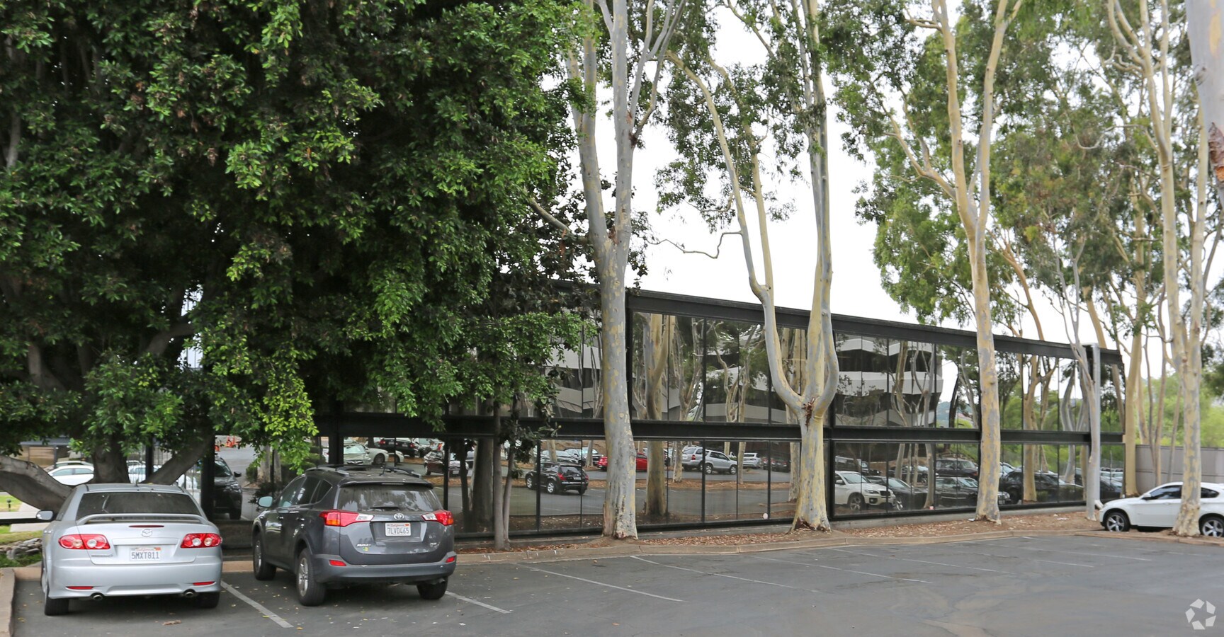 View Photo