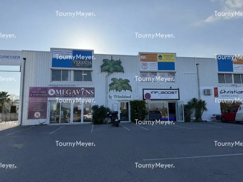 257 Rue Hélène Boucher, Mauguio à louer Photo de l’immeuble– Image 1 sur 7