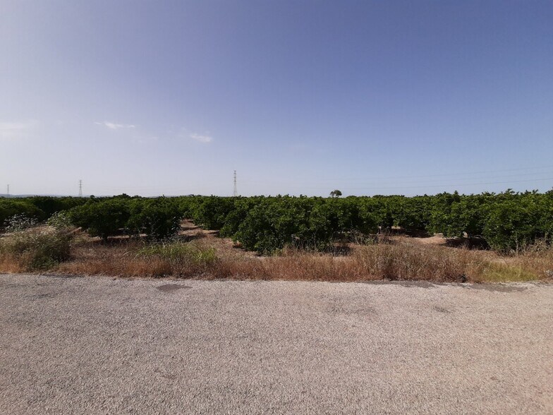 Terrain dans Alzira, Valencia à vendre - Photo principale – Image 2 sur 14