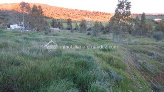 Terrain dans Cáceres, Cáceres à vendre Photo principale– Image 1 sur 11