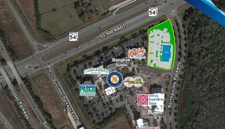 16611 Pointe Village Dr, Lutz, FL à louer - Photo de l’immeuble – Image 2 sur 13