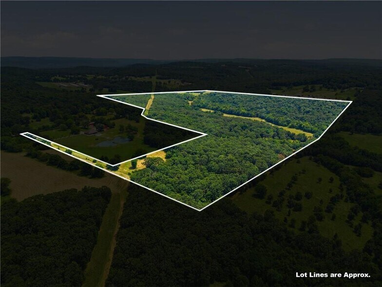 11373 Colcleasure Rd, Fayetteville, AR à vendre - Photo de l’immeuble – Image 1 sur 35