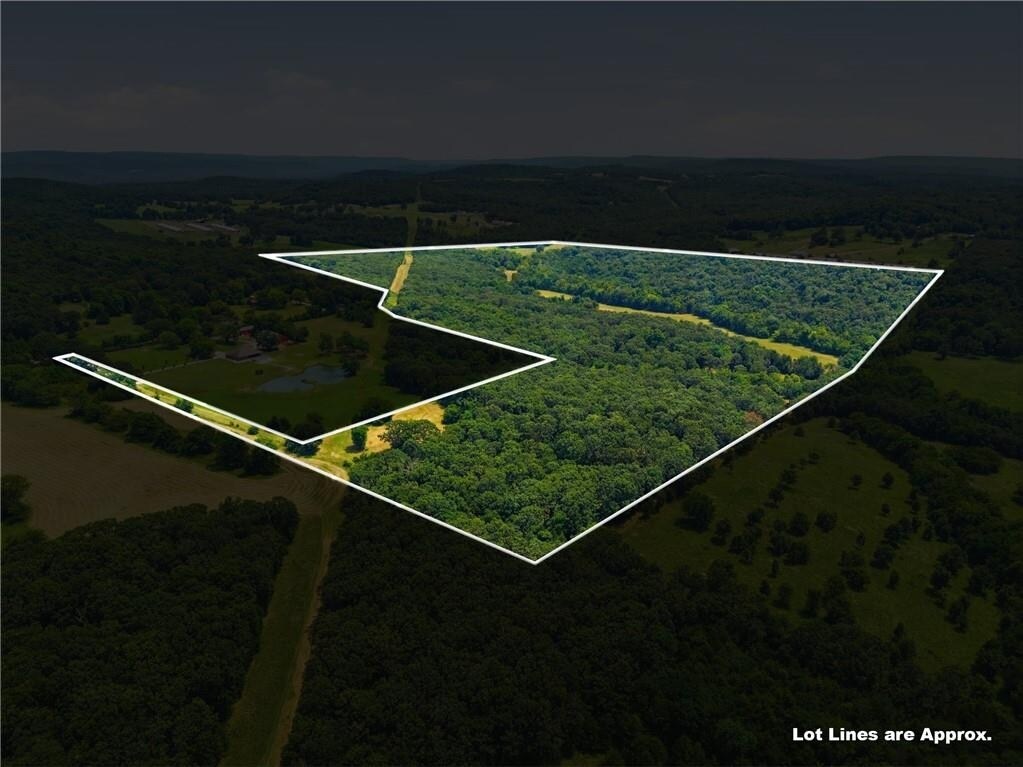 11373 Colcleasure Rd, Fayetteville, AR à vendre Photo de l’immeuble– Image 1 sur 36