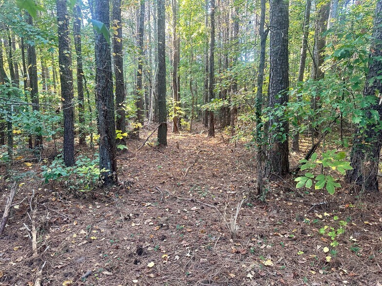 00 NE Hwy 411, Rydal, GA à vendre - Autre – Image 3 sur 24