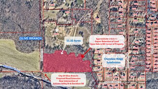Plus de détails pour 6240 Davidson Rd, Olive Branch, MS - Terrain à vendre