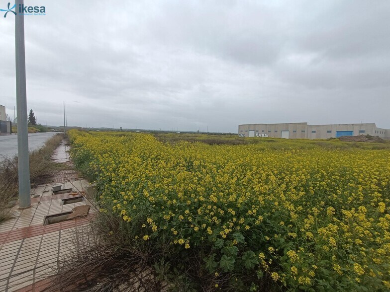 Industriel/Logistique dans Chauchina à vendre - Photo de l’immeuble – Image 2 sur 19