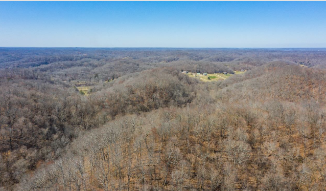River Road Pike, Nashville, TN à vendre - Photo de l’immeuble – Image 3 sur 4