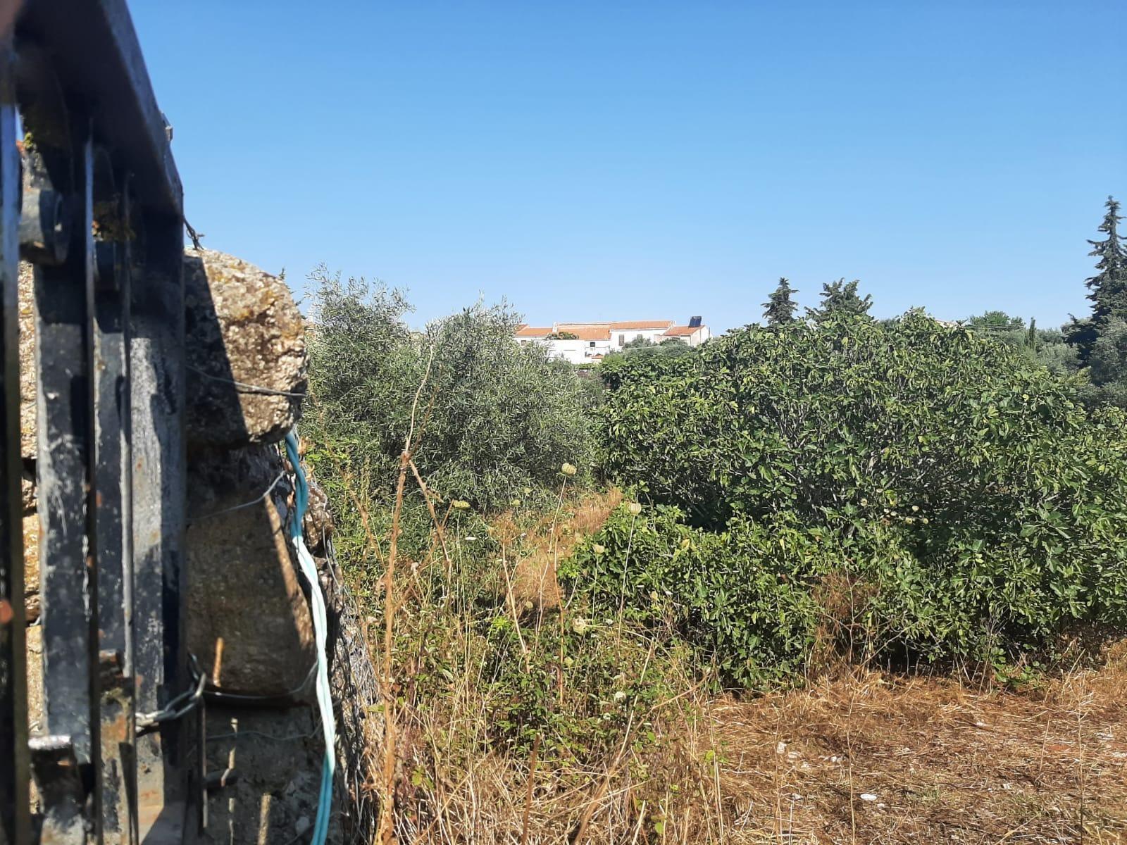 Terrain dans Casas de Don Antonio, Cáceres à vendre Photo principale– Image 1 sur 13