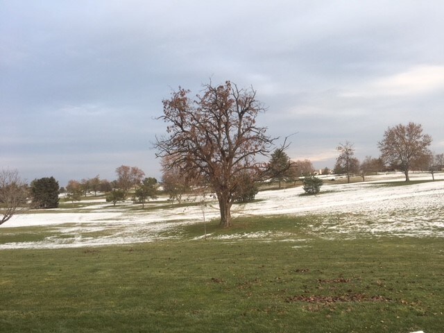 2805 Saint Andrews Loop, Pasco, WA à louer - Autre – Image 3 sur 31