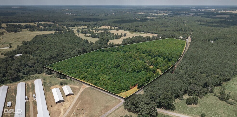 829 Barnes rd, Athens, LA à vendre - Photo de l’immeuble – Image 1 sur 36