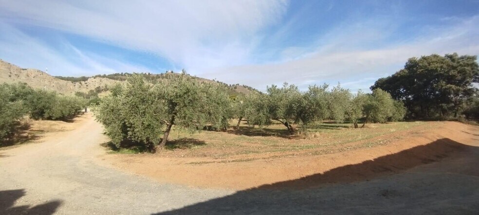 Camino Albarrate, Albolote, Granada à vendre - Aérien – Image 2 sur 5