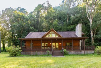 Plus de détails pour 228 Chestnut Mountain Rd, Canton, NC - Spécialisé à vendre