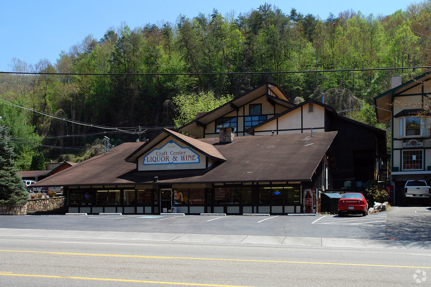 446 E Parkway, Gatlinburg, TN à louer - Photo de l’immeuble – Image 3 sur 34