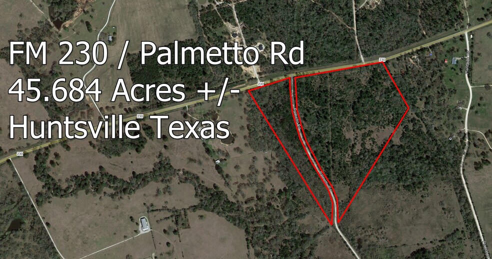 0000 Palmetto rd, Trinity, TX à vendre - Photo principale – Image 1 sur 10