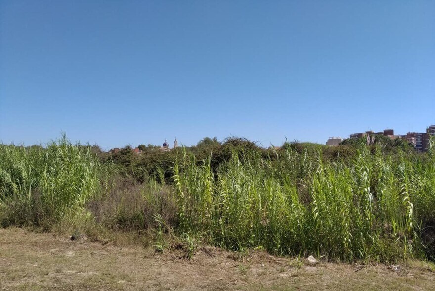 Finc, de, Sueca, Valencia à vendre - Photo de l’immeuble – Image 3 sur 4