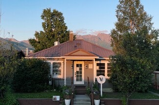 Plus de détails pour 927 S Cobb St, Palmer, AK - Spécialisé à vendre