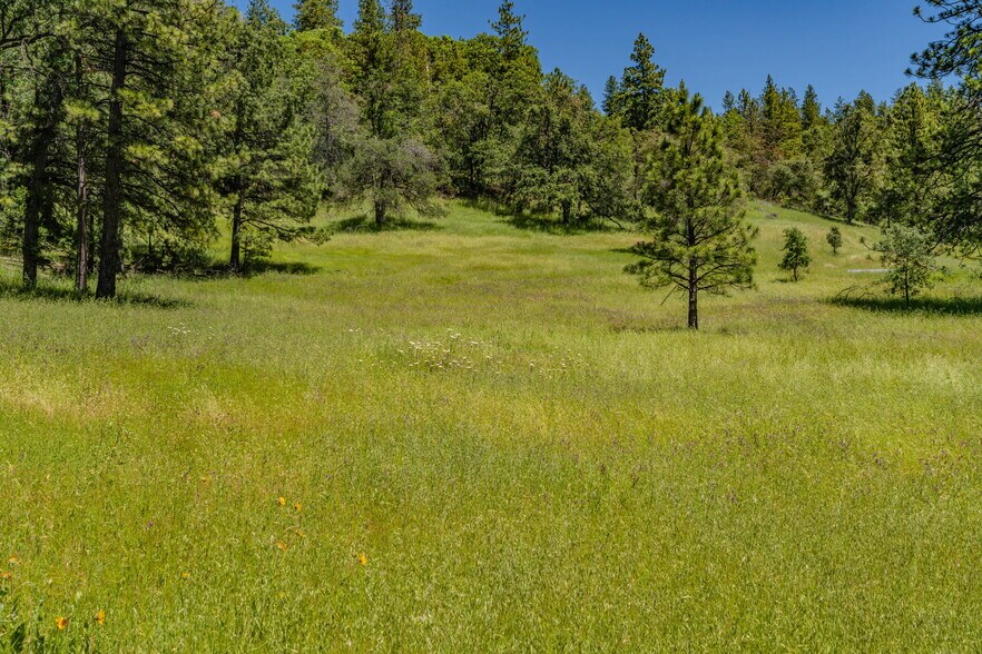 25755 State Highway 88, Pioneer, CA à vendre - Photo de l’immeuble – Image 3 sur 20