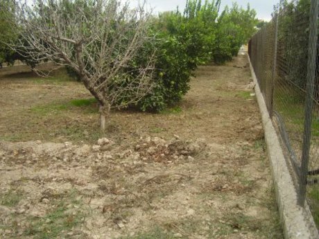 Terrain dans Molina de Segura, Murcia à vendre - Photo de l’immeuble – Image 3 sur 11