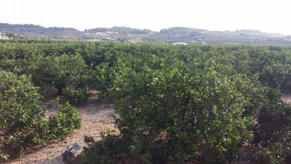 Terrain dans Montroy, Valencia à vendre - Photo de l’immeuble – Image 1 sur 14