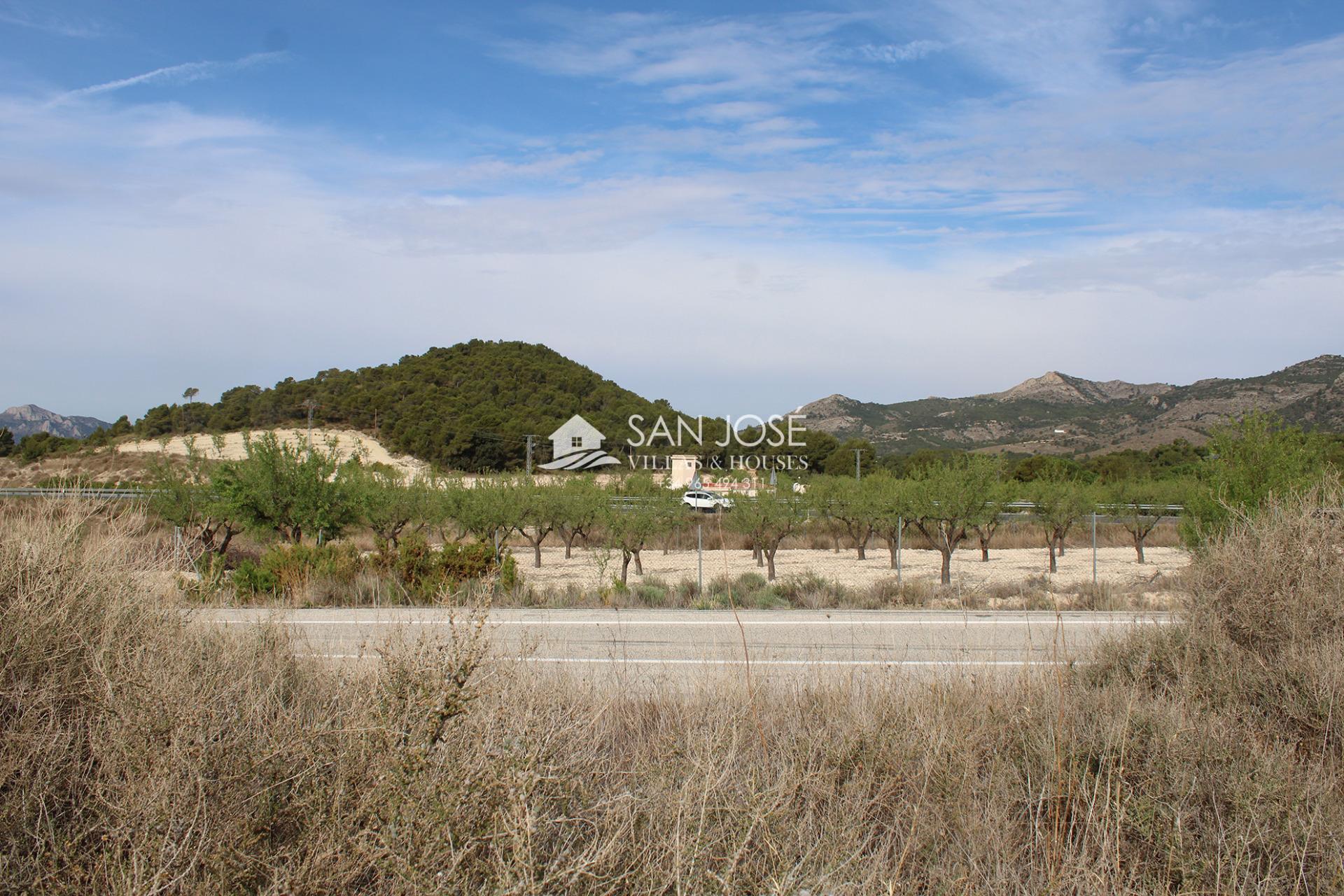 Terrain dans Sax, Alicante à vendre Photo principale– Image 1 sur 7