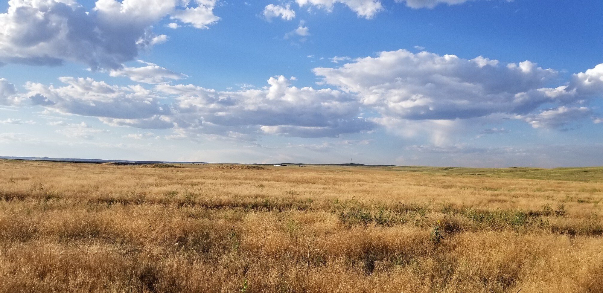 TBD CR 82 - Tract A, Wellington, CO à vendre Photo de l’immeuble– Image 1 sur 11