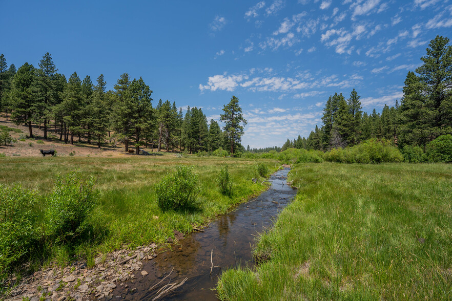 6340 County Road 133C, Davis Creek, CA à vendre - Photo de l’immeuble – Image 2 sur 40