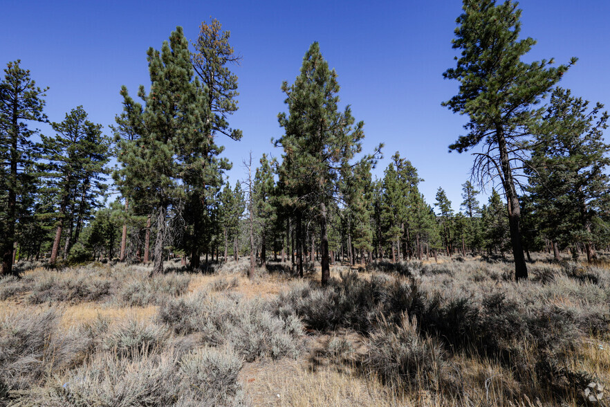 660 California 38, Big Bear City, CA à vendre - Photo de l’immeuble – Image 1 sur 2