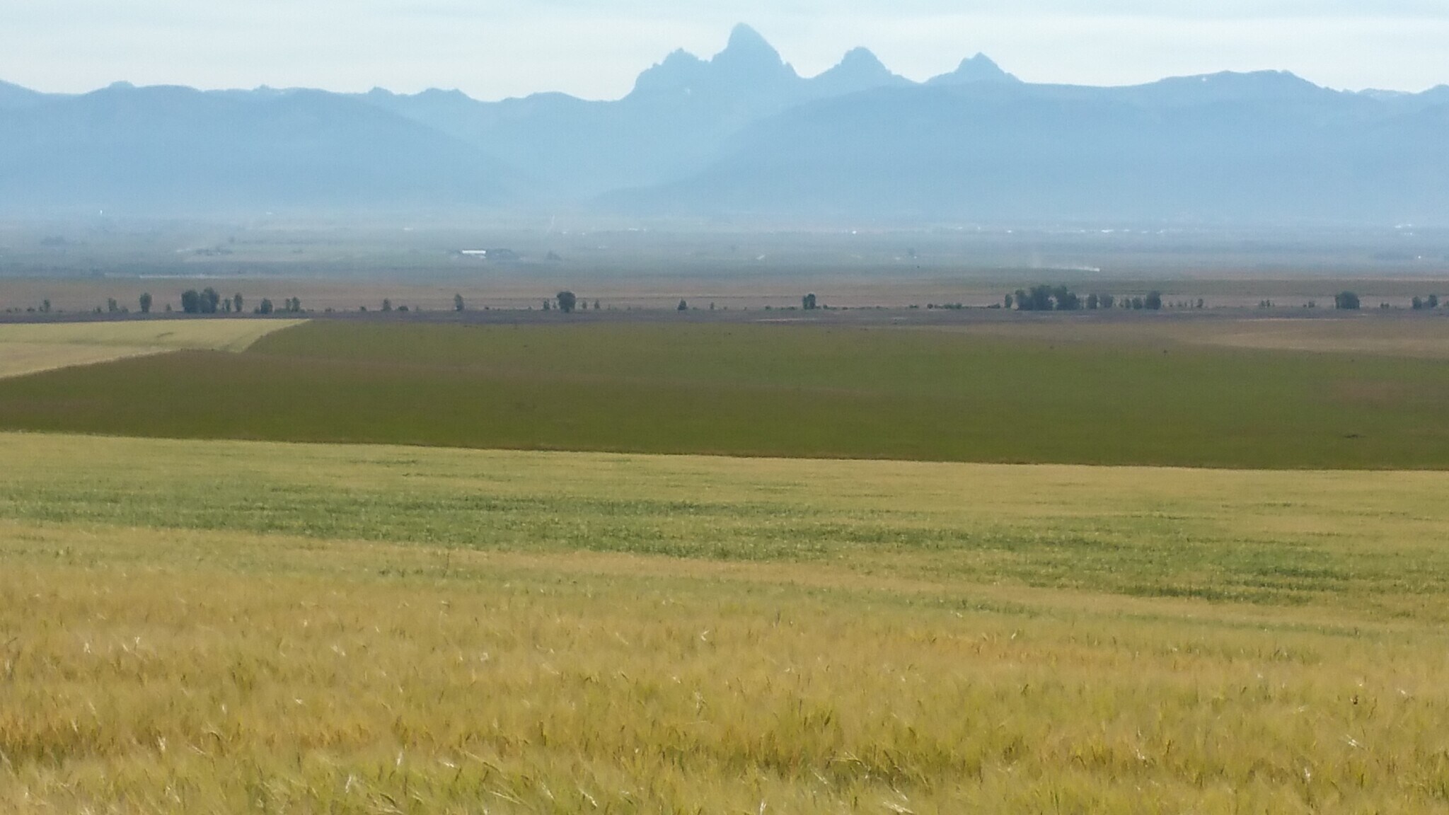 250 N 800 W, Tetonia, ID à vendre Photo principale– Image 1 sur 11