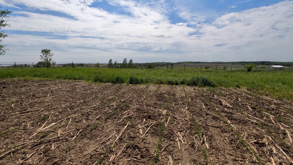 TBD 31st NW Ave, Oronoco, MN à vendre - Photo de l’immeuble – Image 3 sur 47