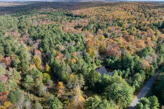 Plus de détails pour 378 Gregory Rd, Monticello, NY - Terrain à vendre