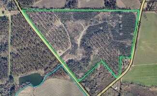 Plus de détails pour 1344 Brady Road, Americus, GA - Terrain à vendre