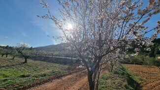 Plus de détails pour Polígono Industrial Marimingo, 16, Bullas - Terrain à vendre