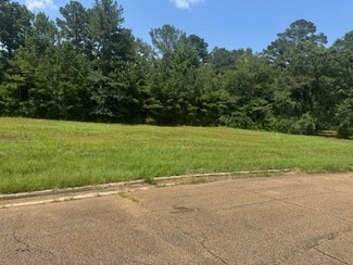 Plus de détails pour Parklane Rd, Mccomb, MS - Terrain à vendre