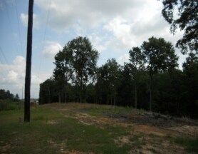 Foxgate Ave & Ford Ave, Hattiesburg, MS à vendre - Photo de l’immeuble – Image 2 sur 6