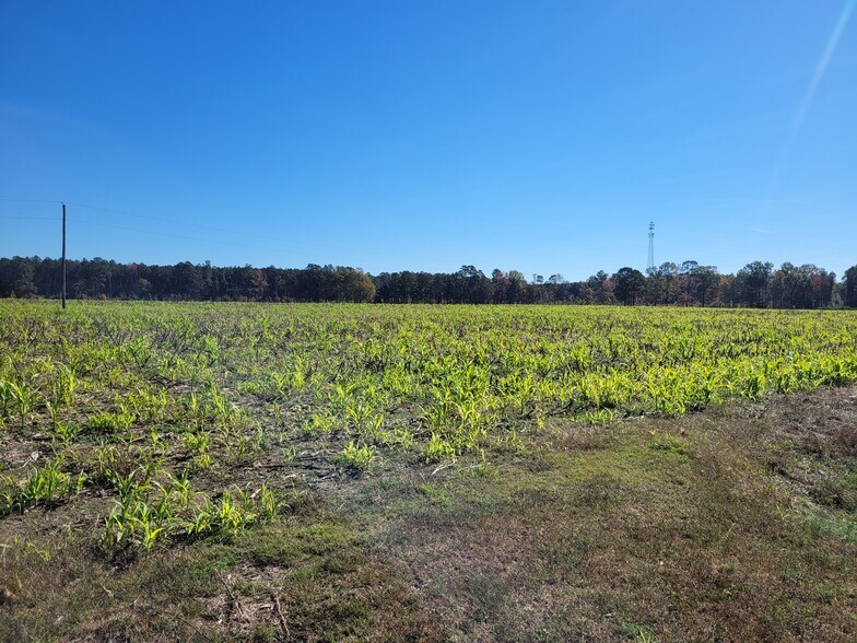 2614 Buffalo Rd, Smithfield, NC à vendre - Photo de l’immeuble – Image 2 sur 3