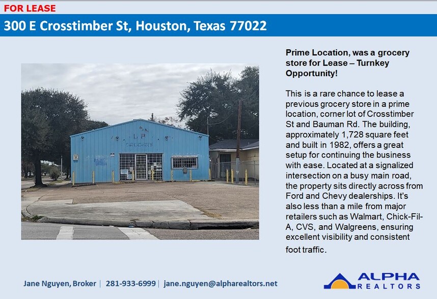 300 E Crosstimbers St, Houston, TX à louer - Photo de l’immeuble – Image 2 sur 5