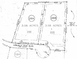 Plus de détails pour 7127 Loblolly Pine Blvd, Fairview, TN - Terrain à vendre
