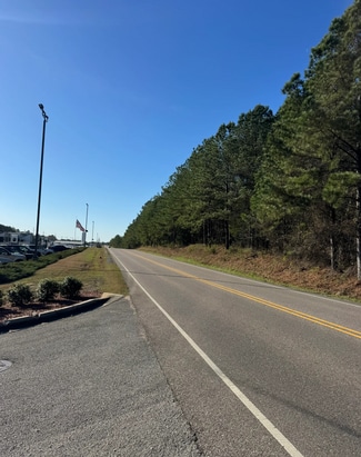 Plus de détails pour 53 Acres On George Roy Pky, Calera, AL - Terrain à vendre