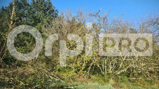 Plus de détails pour Terrain à vendre