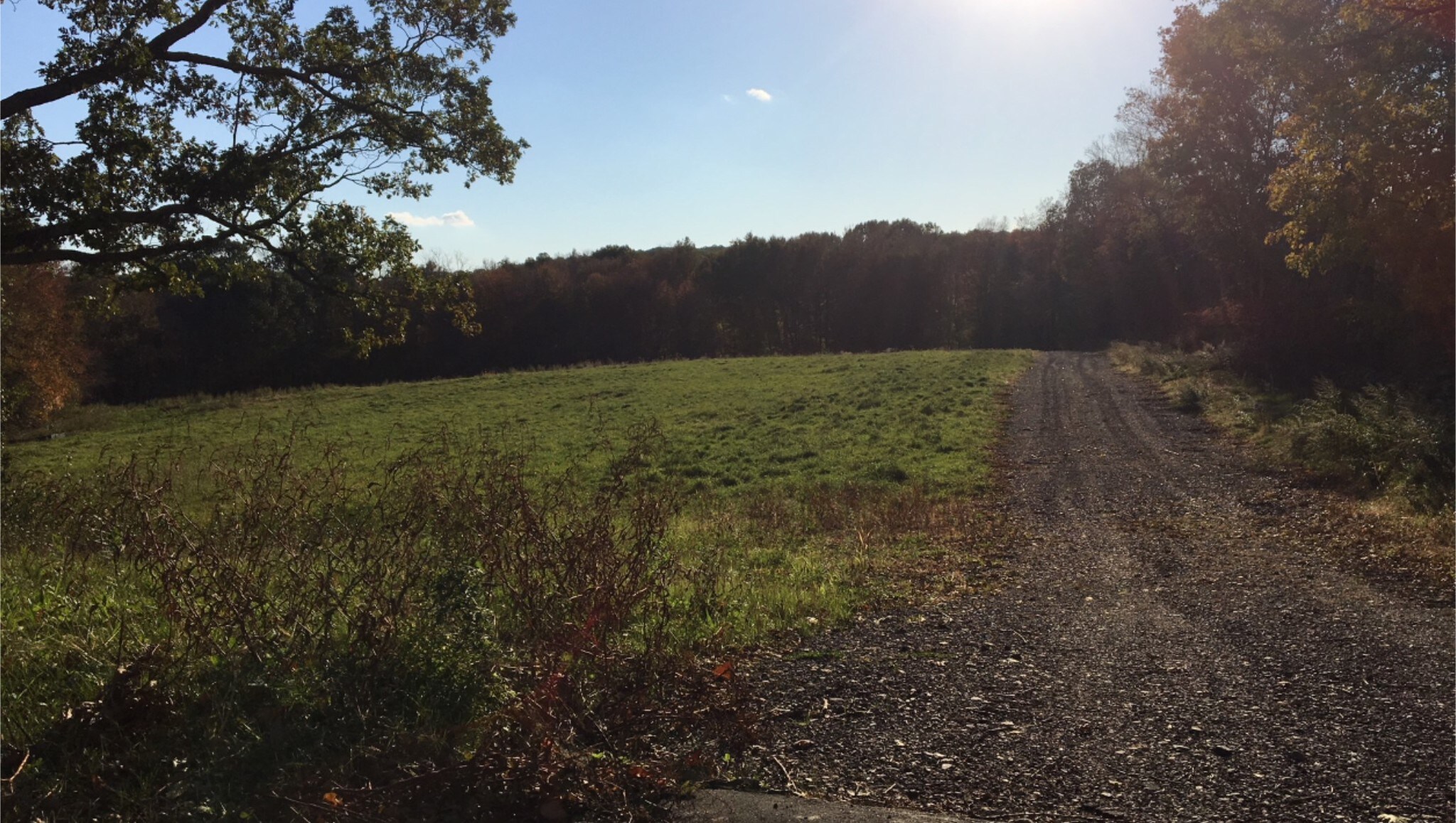 2 Pheasant Rd, Oxford, CT à vendre Autre– Image 1 sur 2