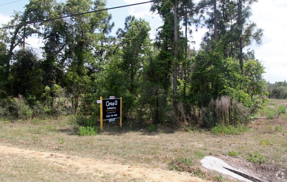 15352 Wiscon Rd, Brooksville, FL à vendre - Photo principale – Image 1 sur 53
