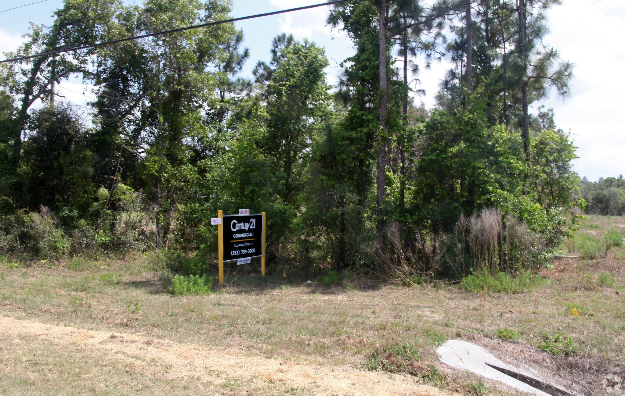 15352 Wiscon Rd, Brooksville, FL à vendre Photo principale– Image 1 sur 54