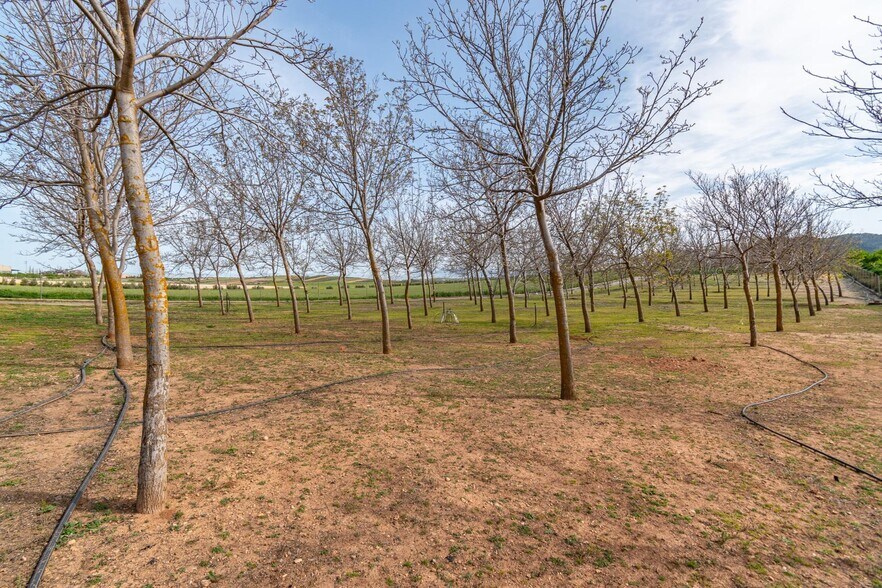 Pago de las Manguetas, 4, Padul, Granada à vendre - Photo de l’immeuble – Image 3 sur 50