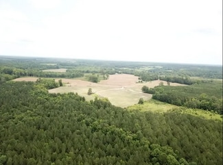 Plus de détails pour 16787 Red Bud Rd, Castalia, NC - Terrain à vendre