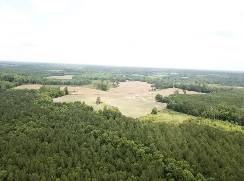 16787 Red Bud Rd, Castalia, NC à vendre Photo de l’immeuble– Image 1 sur 3