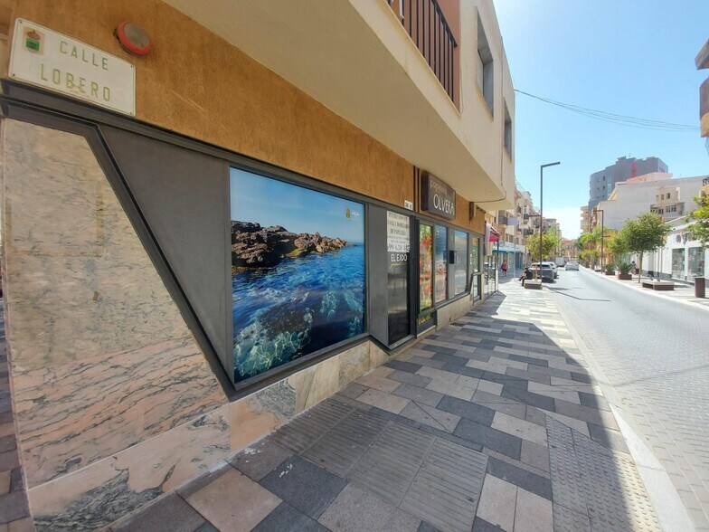 Local commercial dans El Ejido, Almería à louer - Photo de l’immeuble – Image 3 sur 11