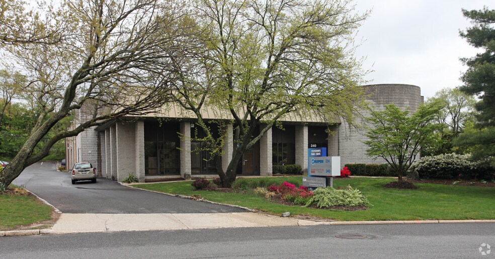 230-240 Crossways Park Dr, Woodbury, NY à louer - Photo principale – Image 1 sur 5