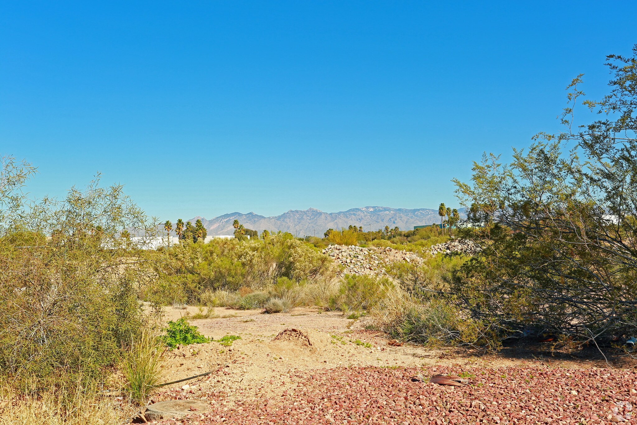 6300 S Palo Verde Rd, Tucson, AZ à vendre Photo principale– Image 1 sur 4