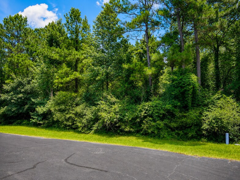 17847 Appaloosa dr, Waller, TX à vendre - Photo de l’immeuble – Image 3 sur 4